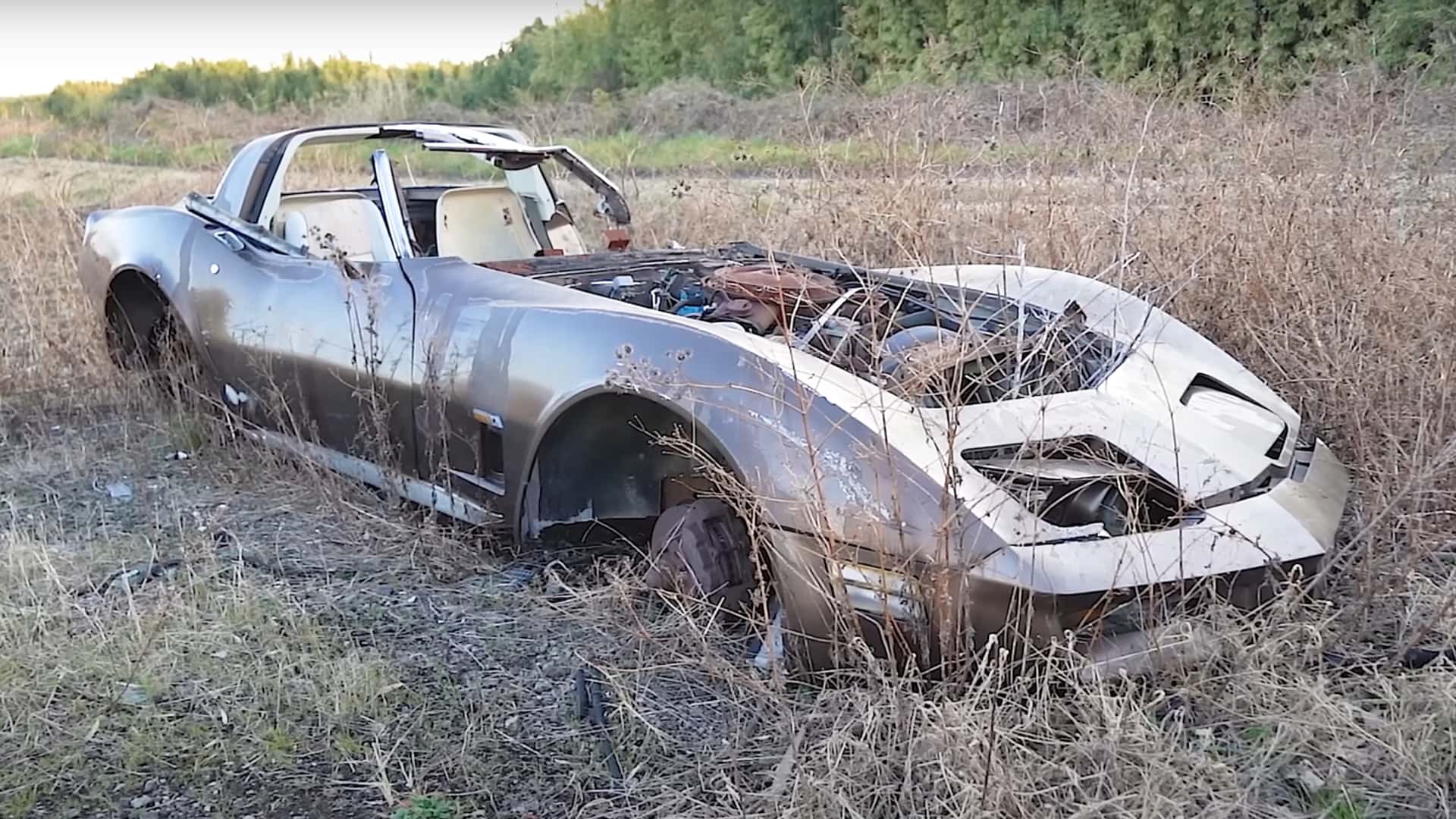 The Saddest Car Graveyard In Japan Is Full Of Rotting Old Corvettes