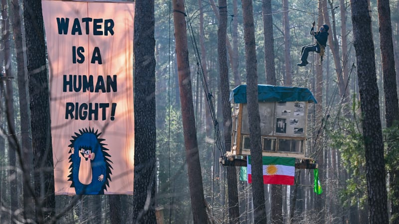 Activists build treehouses to protest Tesla’s plans to expand its plant near Berlin